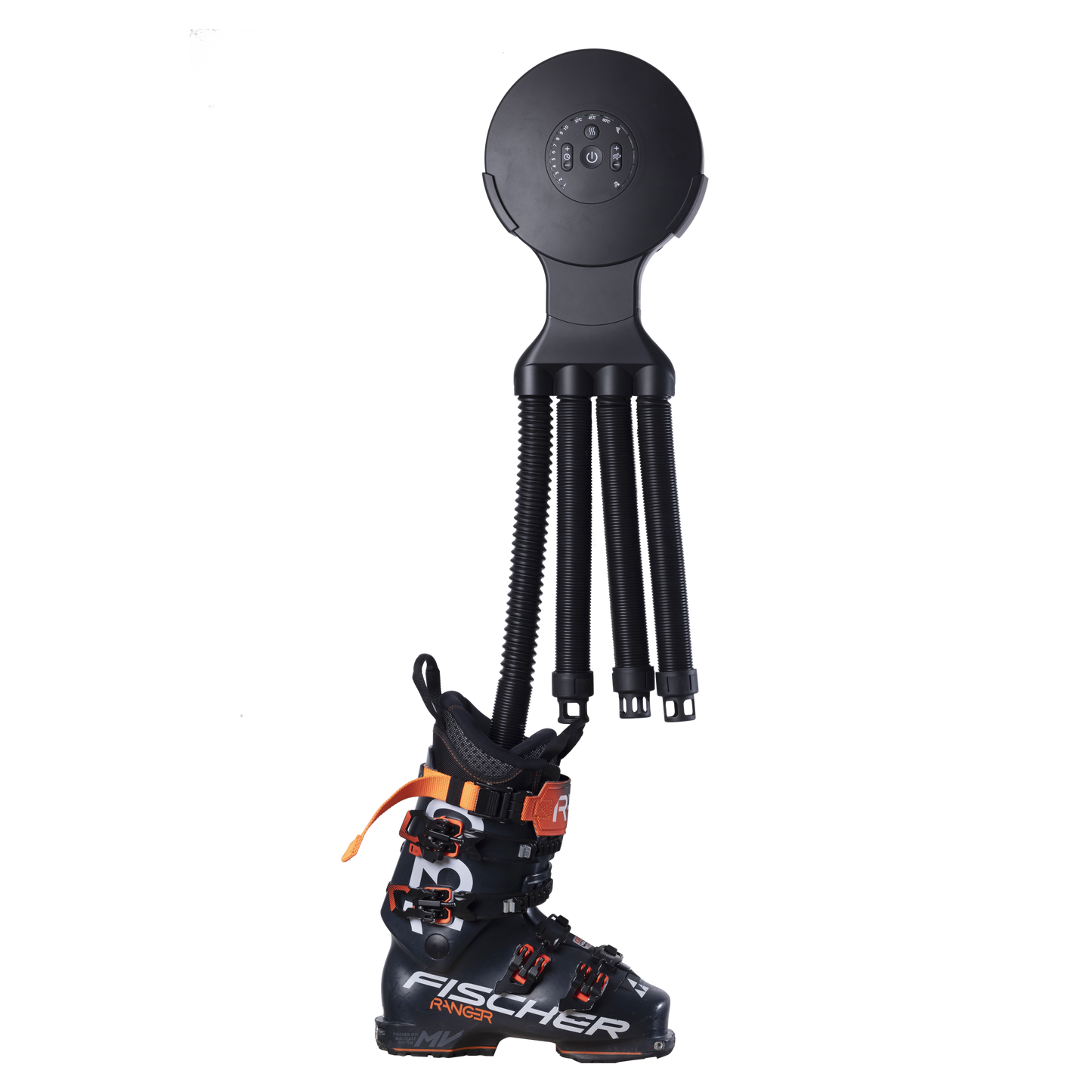 Octopus Black