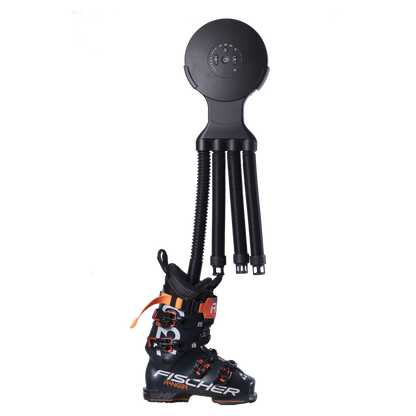 Octopus Black