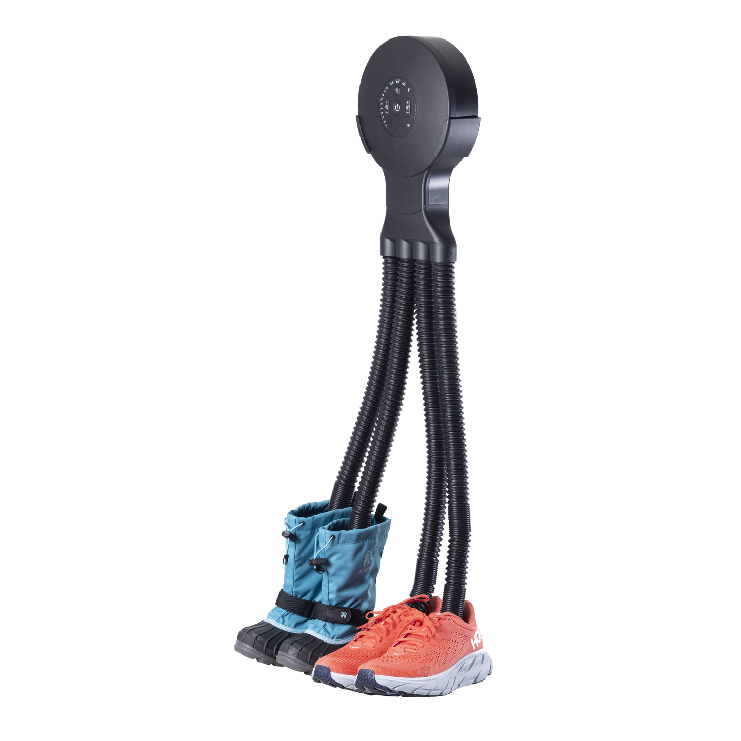 Octopus Black