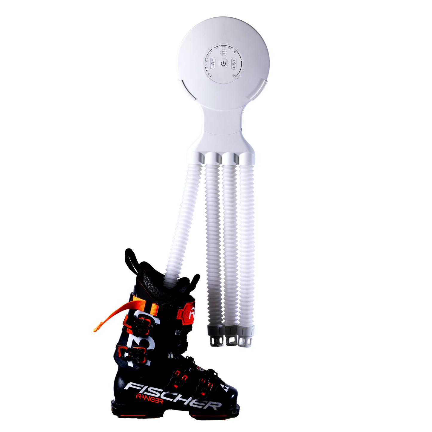Octopus Blanc